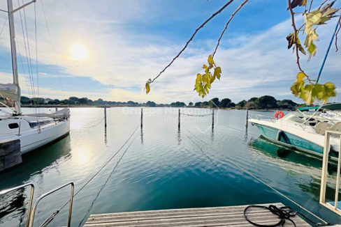 Marina Marina P2 avec vu panoramique CM1780 photo1