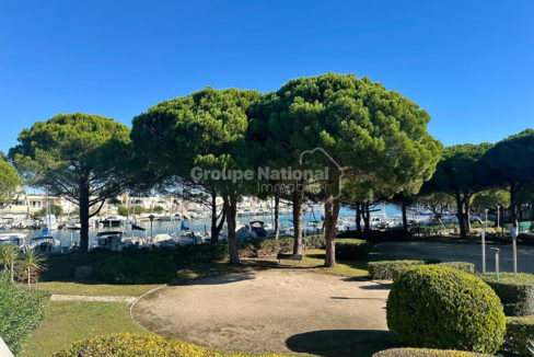 Marina Port-Camargue Studio cabine vue port et jardin CM1871 photo1