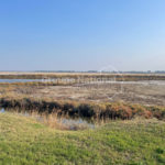 Marina Bel appartement P3 au Grau-du-Roi avec vue sur les salins avec parking CM1664C photo1