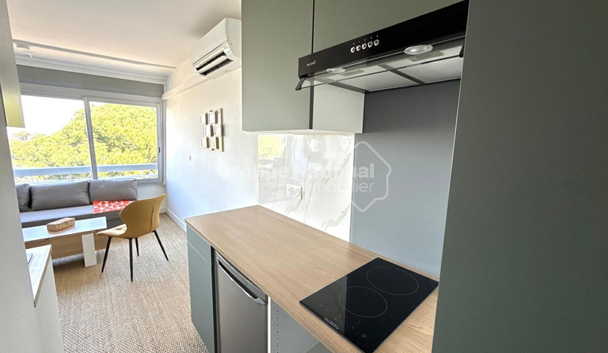 plage sud studio rénové + parking CM1913 photo1